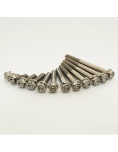 SCAR Engine Screw Kit... 2