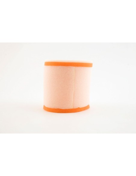 TWIN AIR Air Filter - 153910