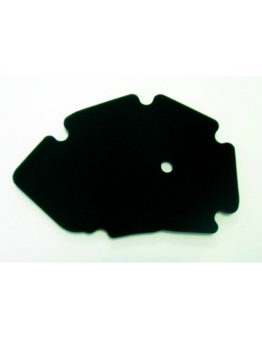 ATHENA Air Filter - S410480200003