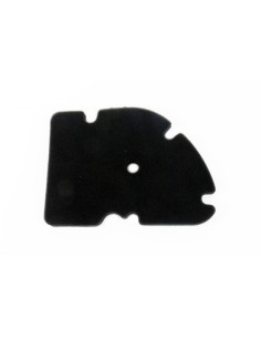 ATHENA Air Filter -...