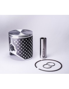 VERTEX Race Evolution...