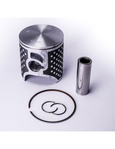 VERTEX Race Evolution...