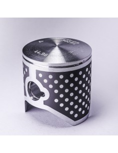 VERTEX Race Evolution...