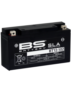 BS BATTERY SLA Battery...