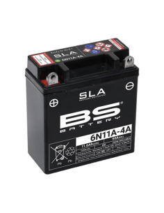 BS BATTERY SLA Battery...