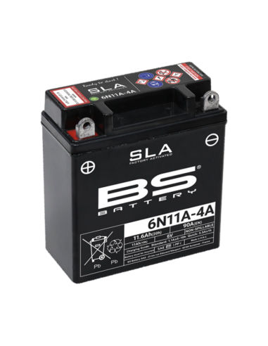 BS BATTERY SLA Battery Maintenance Free Factory Activated - 6N11A-4A