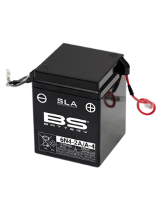 BS BATTERY SLA Battery...