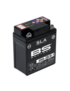 BS BATTERY SLA Battery...