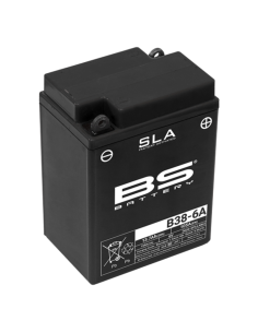 BS BATTERY SLA Battery...