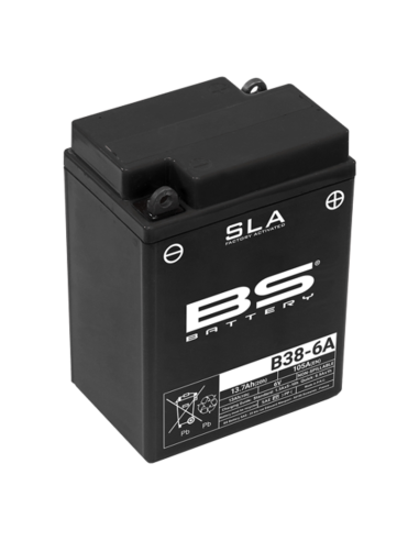 BS BATTERY SLA Battery Maintenance Free Factory Activated - B38-6A