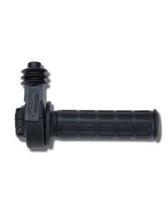 Daytona Domino throttle...
