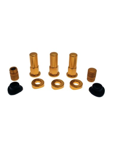 BIHR Aluminium Rim lock screw set Gold